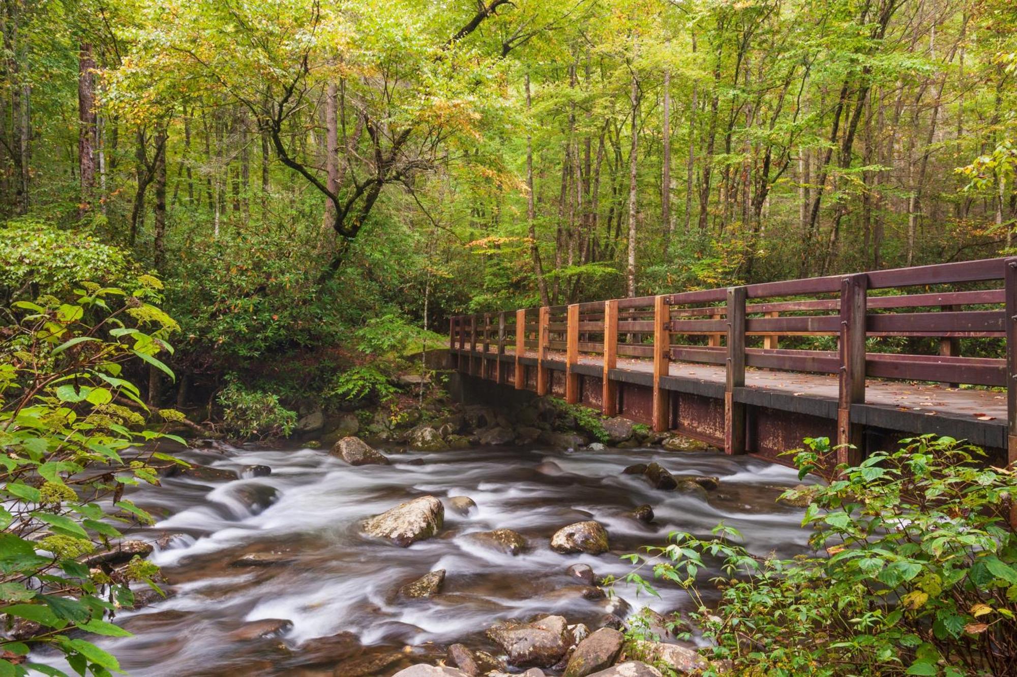 Mountain Eden, Hot Tub, Resort Pool, Wifi, 1089 Free Tickets Each Paid Day, Dollywood And More Gatlinburg Bagian luar foto