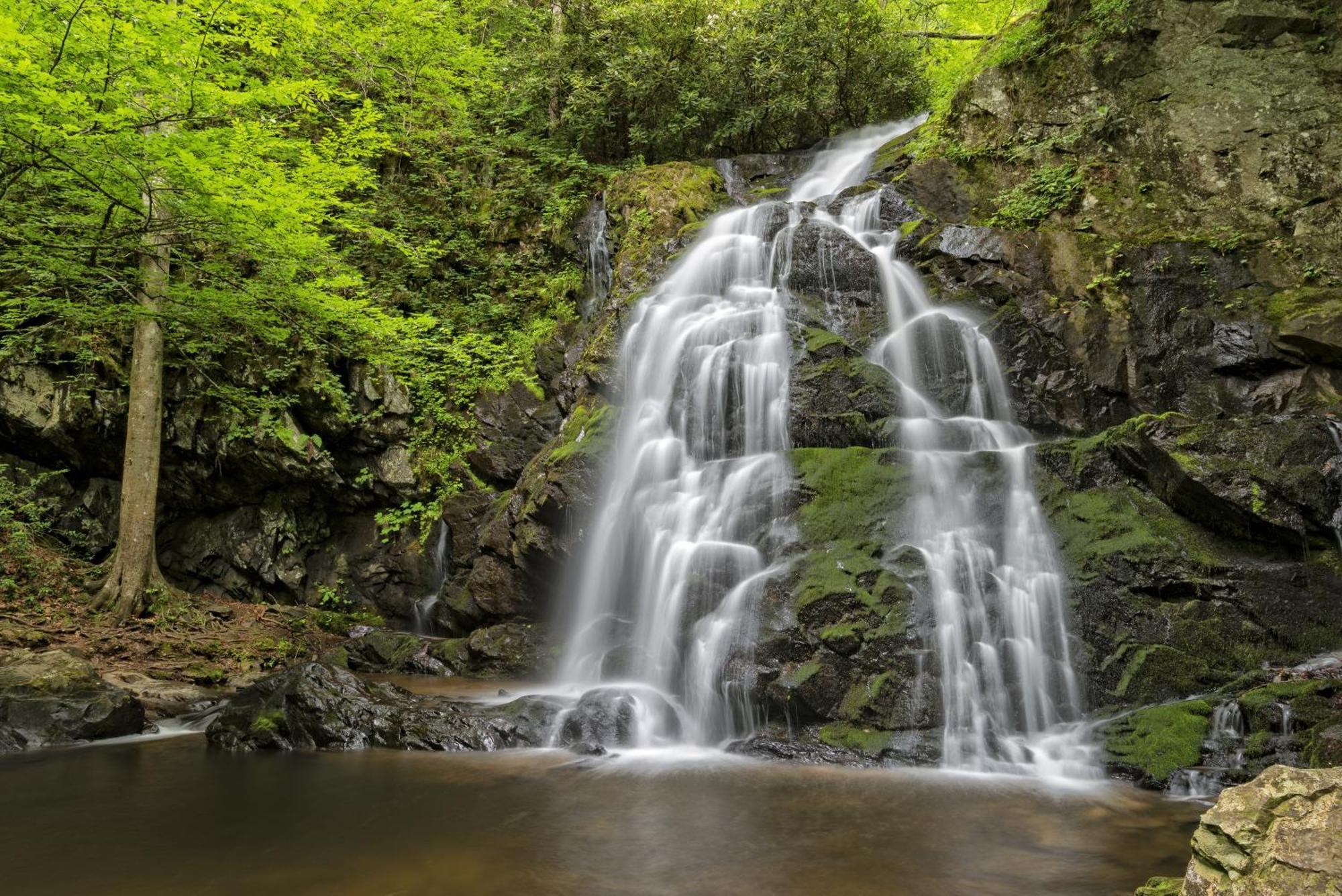 Mountain Eden, Hot Tub, Resort Pool, Wifi, 1089 Free Tickets Each Paid Day, Dollywood And More Gatlinburg Bagian luar foto